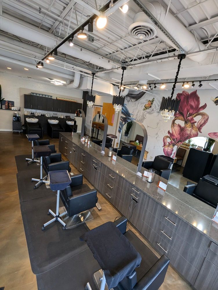 Ginger Salon Logo