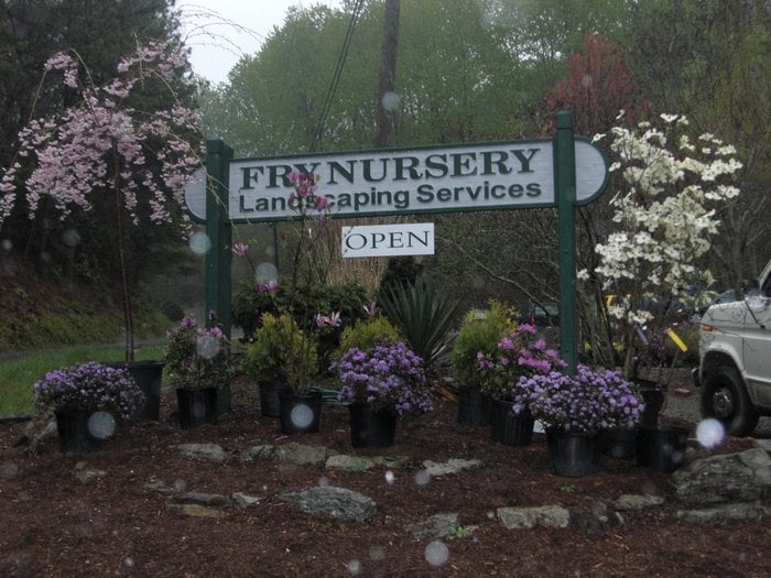 FRY NURSERY & LANDSCAPING Updated August 2024 356 King Rd, Pisgah