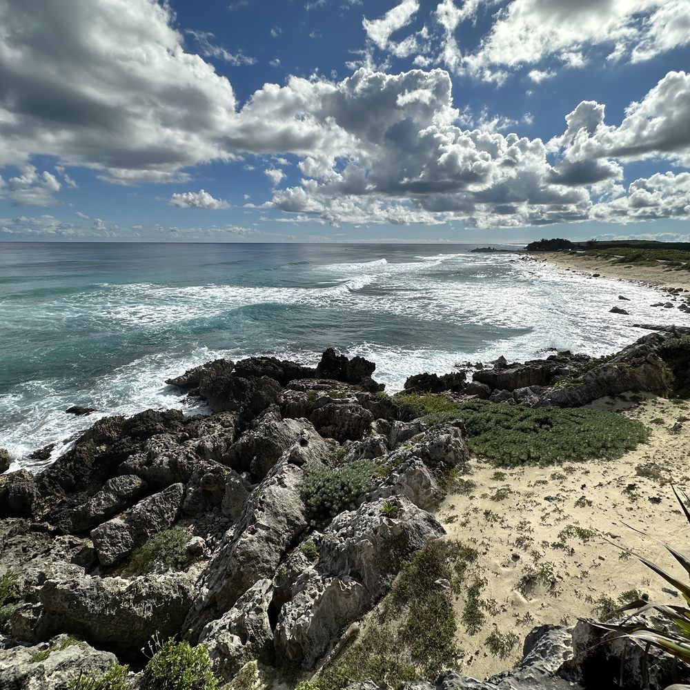 Coconuts Bar & Grill - View - Bars Near Me - Cozumel, ROO Coconuts Bar & Grill - View - Bars Near Me - Cozumel, ROO