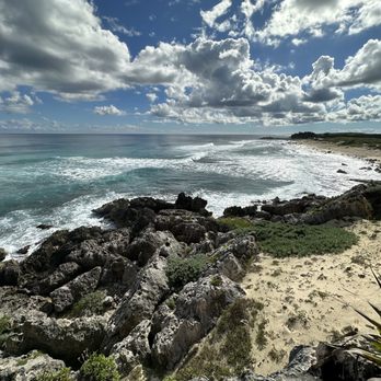 Coconuts Bar & Grill - View - Bars Near Me - Cozumel, ROO