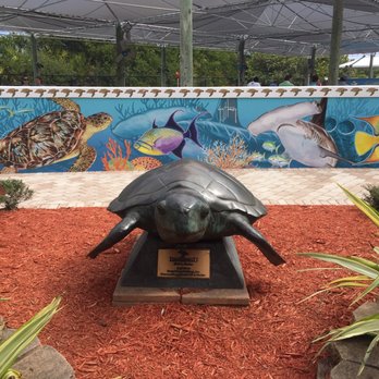 Loggerhead Marinelife Center - Community Service/Non-Profit Near Me - Juno Beach, Florida