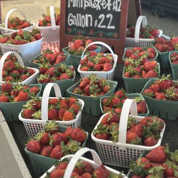 Ludlum's Produce - Fruits & Veggies Near Me - Supply , North Carolina Ludlum's Produce - Fruits & Veggies Near Me - Supply , North Carolina