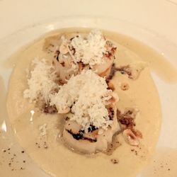 Cafe Kestrel - Scallops