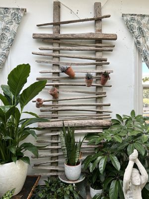 Clifton Nurseries by null