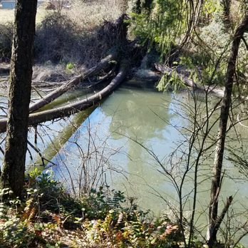 Lacamas Creek Trail - View to the left of dam area. - Hiking Near Me - Camas, Washington Lacamas Creek Trail - View to the left of dam area. - Hiking Near Me - Camas, Washington