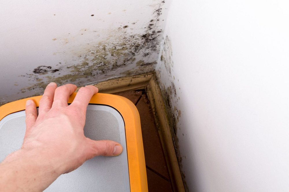 Big Peach Mold Inspections - mold inspector in Atlanta, GA