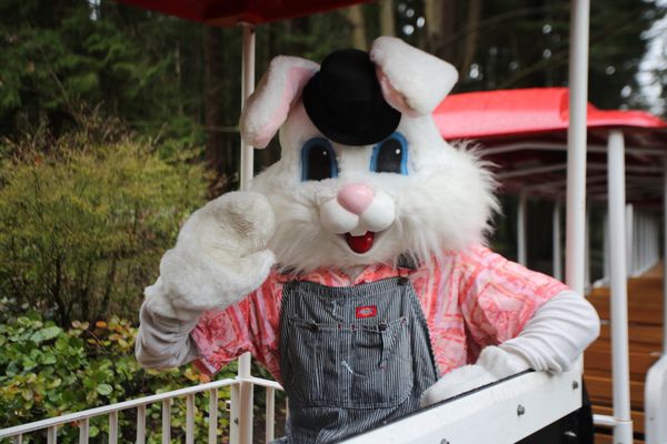 Stanley Park Railway by null