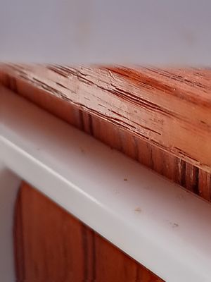 Shut Up and Eat by null