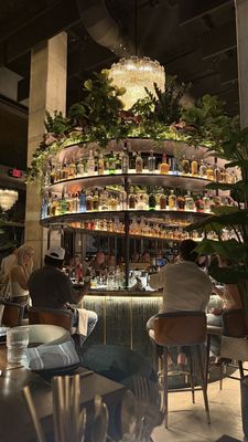 V Modern Italian by null
