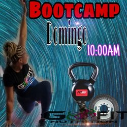 Go Fit Nutrition