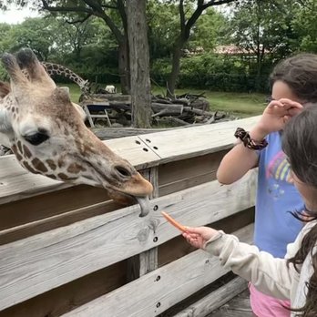 Indianapolis Zoo - Zoos Near Me - Indianapolis, Indiana Indianapolis Zoo - Zoos Near Me - Indianapolis, Indiana