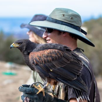 Sky Falconry - Awesome folks @ Sky Falconry! - Specialty Schools Near Me - Alpine, California Sky Falconry - Awesome folks @ Sky Falconry! - Specialty Schools Near Me - Alpine, California