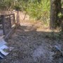 Photo of Decision Precision - Tree Technicians
