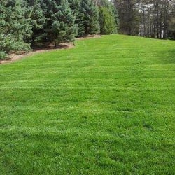 R & U Landscaping