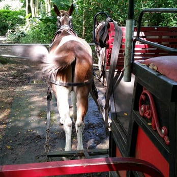Waipio Valley Wagon Tours - Tours Near Me Waipio Valley Wagon Tours - Tours Near Me
