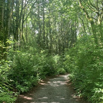 Saint Edward State Park - Trail - Parks Near Me - Kenmore, Washington