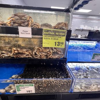 H Mart - Live seafood - International Grocery Near Me - West Jordan, Utah