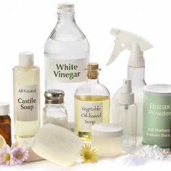 Organic Clean Cleaning Services