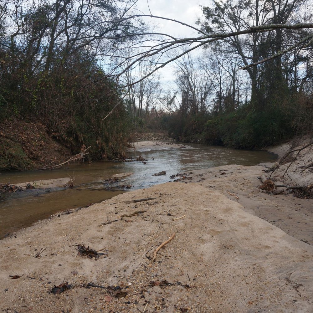 Morningside Nature Preserve - Eastside - Parks Near Me - Atlanta, Georgia Morningside Nature Preserve - Eastside - Parks Near Me - Atlanta, Georgia