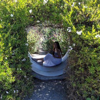 Lavender Bee Farm - Flowers & Gifts Near Me - Petaluma, California