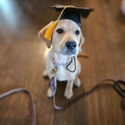 Graduation day!
