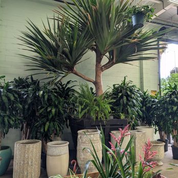 Selva Coffee House - Coffee Roasteries Near Me - San Diego, California