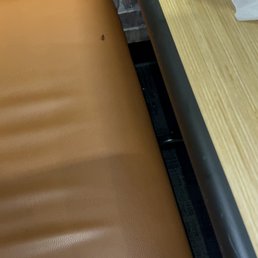 Roaches and food Roaches and food