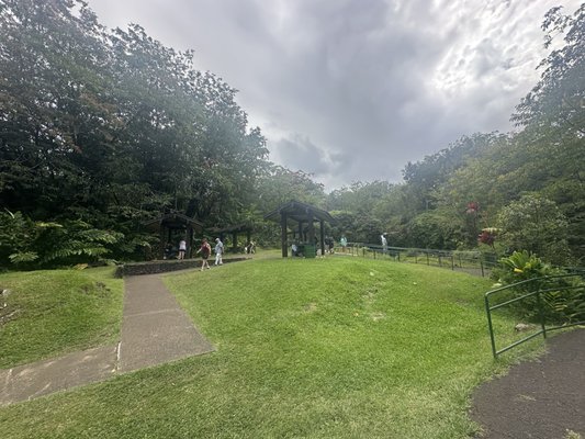 Pua'a Ka'a Falls by null