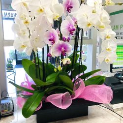Lam Pharmacy