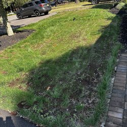 Lawn Reform