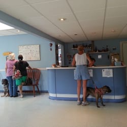 greenville animal hospital