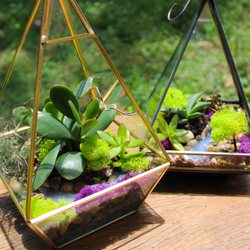 Yaya's Bloom Floristry - Assorted Custom Terraniums