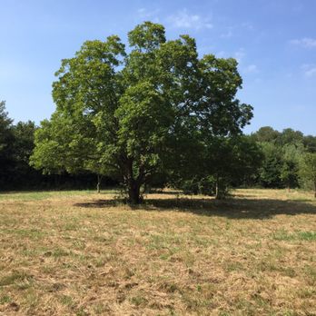 Elmer W. Oliver Nature Park - Hiking Near Me - Mansfield, Texas
