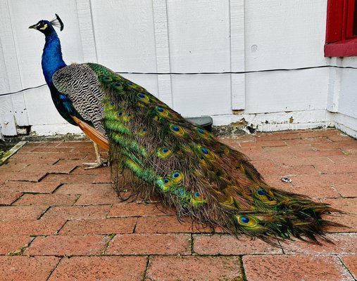 Casa de Fruta by null