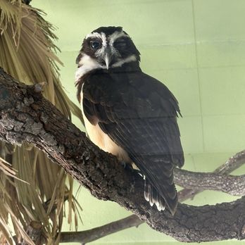 Audubon Zoo - Aquariums Near Me - New Orleans, Louisiana