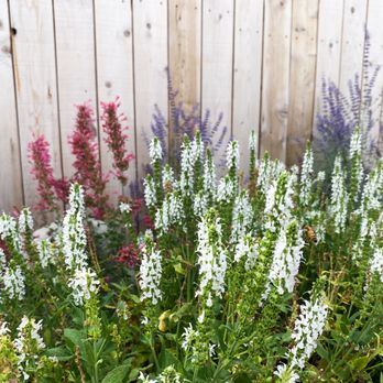 Perennial Landscape - Landscape company cover photo - Landscape Architects or Designers Near Me - Ashland, Oregon Perennial Landscape - Landscape company cover photo - Landscape Architects or Designers Near Me - Ashland, Oregon