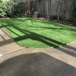 Back yard Back yard
