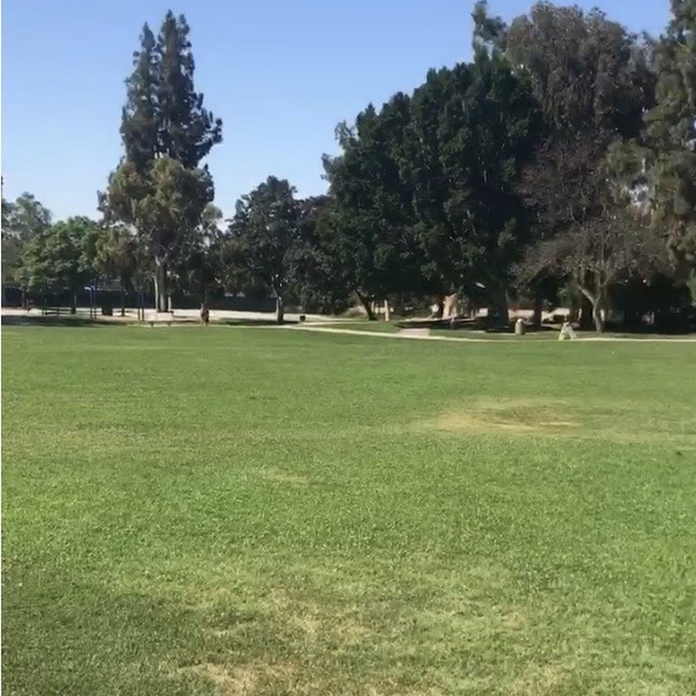 La Mesita Park - Parks Near Me - La Mesa, California La Mesita Park - Parks Near Me - La Mesa, California