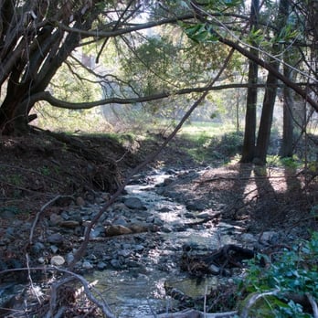 Mount Diablo State Park - Parks Near Me - Clayton, California Mount Diablo State Park - Parks Near Me - Clayton, California