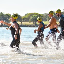 Odyssey Open Water Swimming