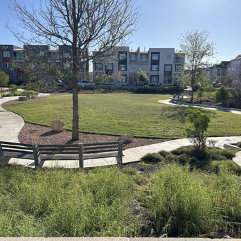 Isamu Taniguchi Park - Parks Near Me - Austin, Texas