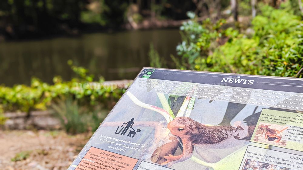 QUARRY PARK Updated September 2024 209 Photos & 15 Reviews 1195