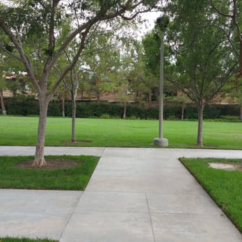 Valley Oak Park - After a rain grasses get nice and beautiful - Parks Near Me - Irvine, California