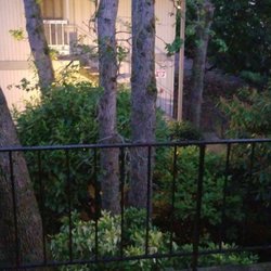 Fernwood Court - View from my balcony