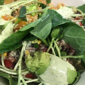 Fruitive - Healthy Food & Smoothies - Juice Bars & Smoothies Near Me - Washington, DC, District of Columbia Fruitive - Healthy Food & Smoothies - Juice Bars & Smoothies Near Me - Washington, DC, District of Columbia