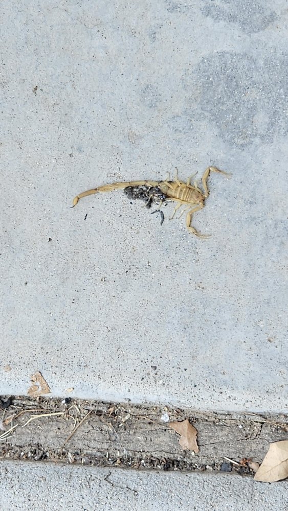 Mynd Property Management Phoenix - property management company in Tempe, AZ