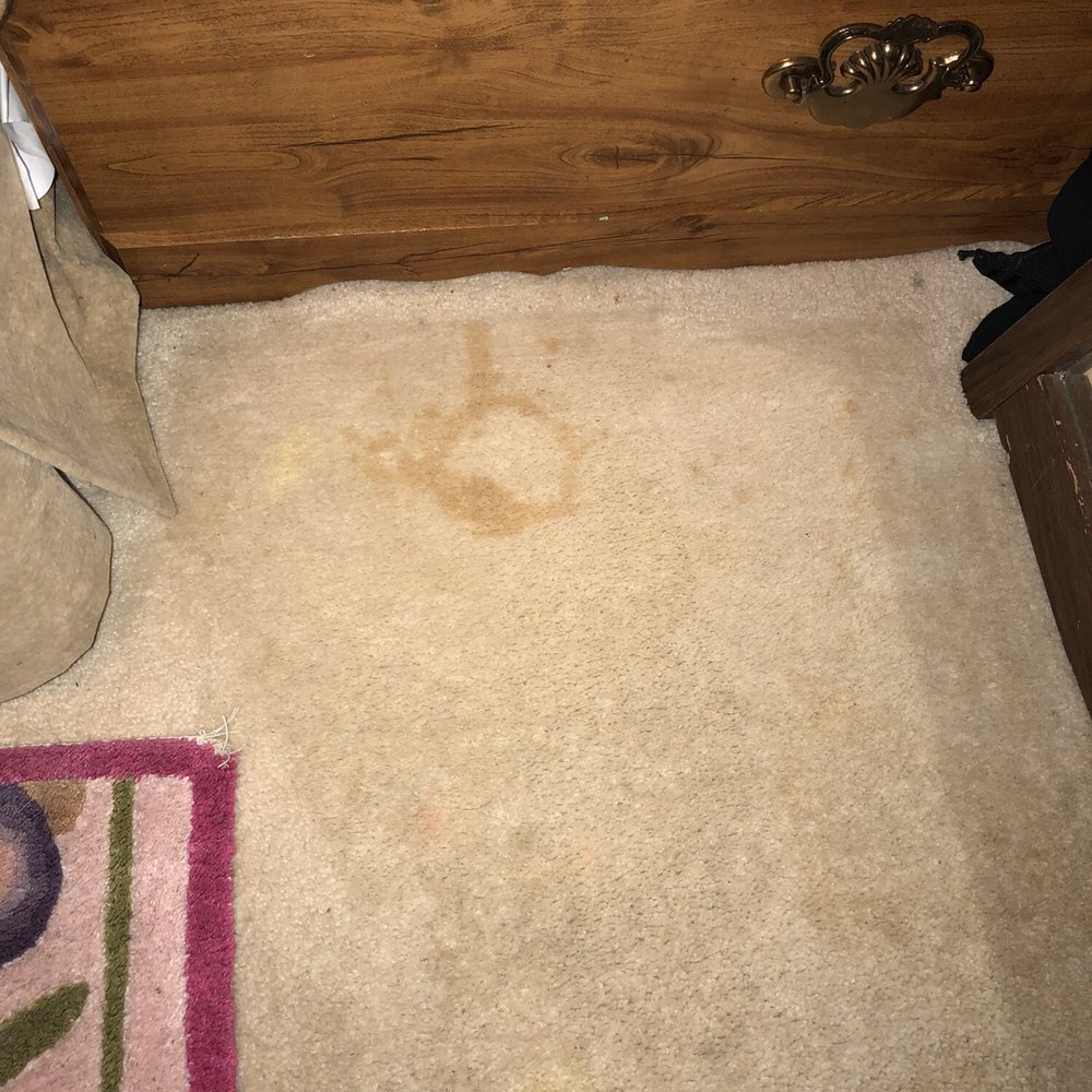 Refresh Carpet Cleaning - Vancouver - This after Scott "cleaned" the carpets - Carpet Cleaning Near Me - Vancouver, British Columbia Refresh Carpet Cleaning - Vancouver - This after Scott "cleaned" the carpets - Carpet Cleaning Near Me - Vancouver, British Columbia