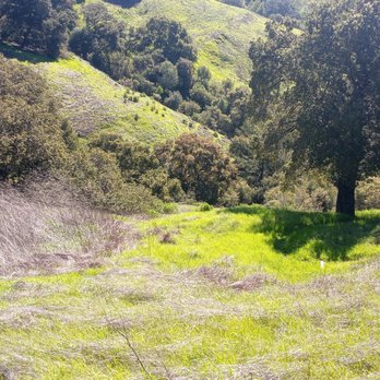 orinda oaks park - Parks Near Me - Orinda, California orinda oaks park - Parks Near Me - Orinda, California
