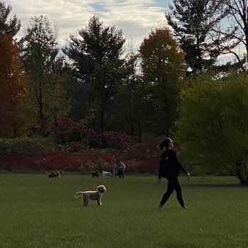 Minooka Park - Colors coming on the trees so beautiful and peaceful.  So easy to keep up COVID distancing. - Hiking Near Me - Waukesha, Wisconsin