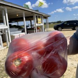 Guy Farms Produce - Field grown tomatoes.